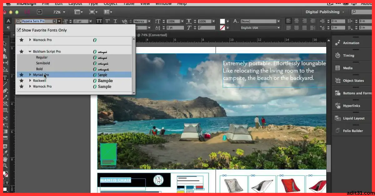 Adobe InDesign