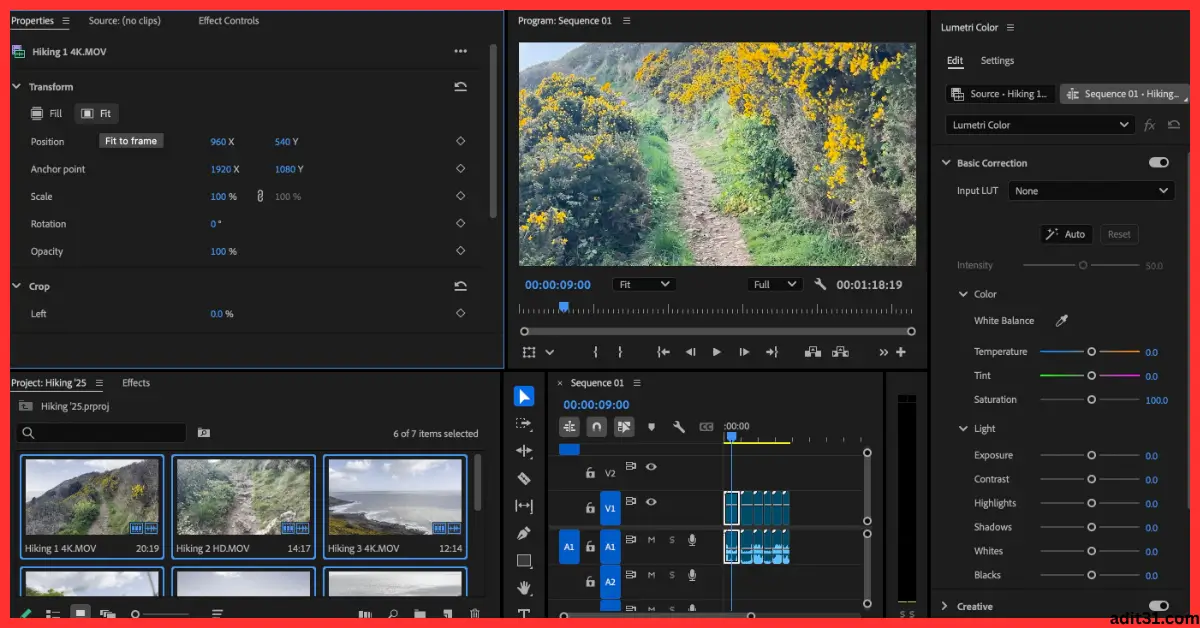 Adobe Premiere Pro