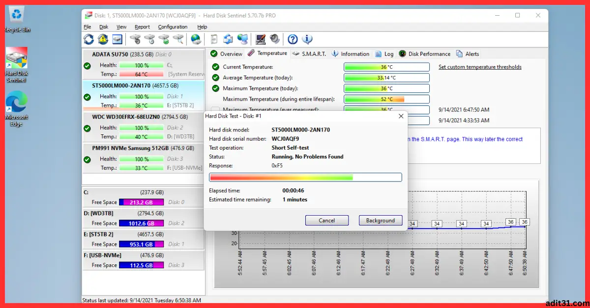 Hard Disk Sentinel Pro