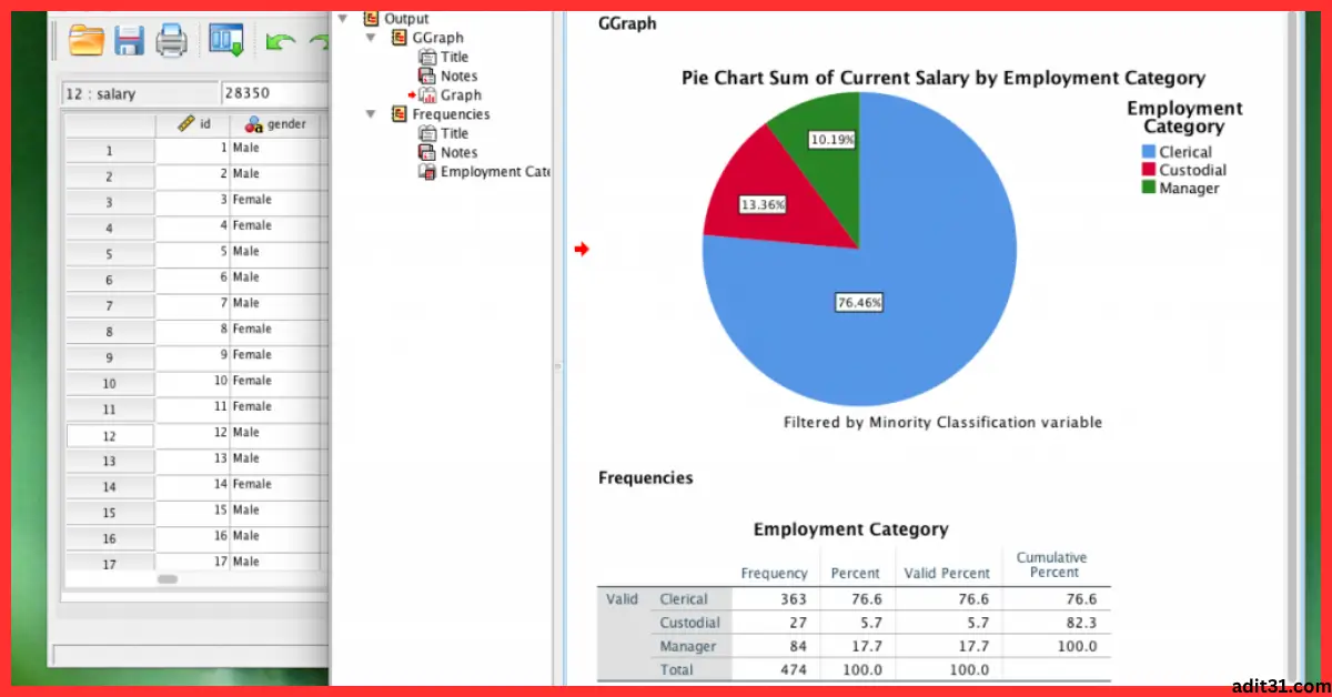 IBM SPSS Statistics Full