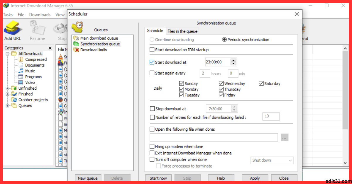 Internet Download Manager 