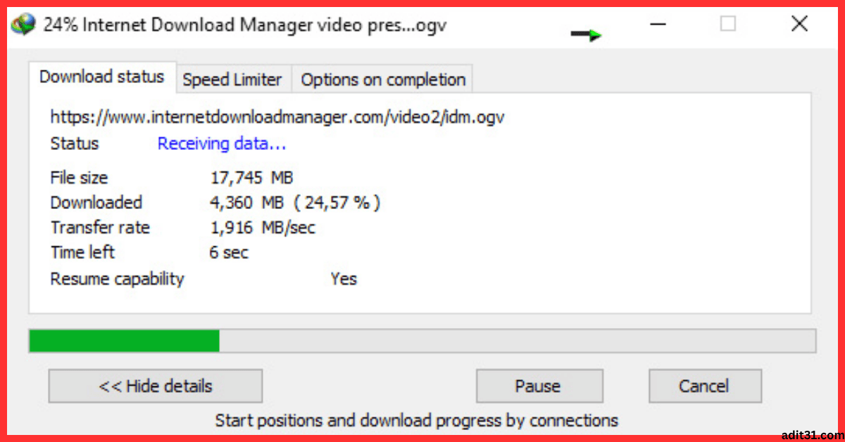 Internet Download Manager 