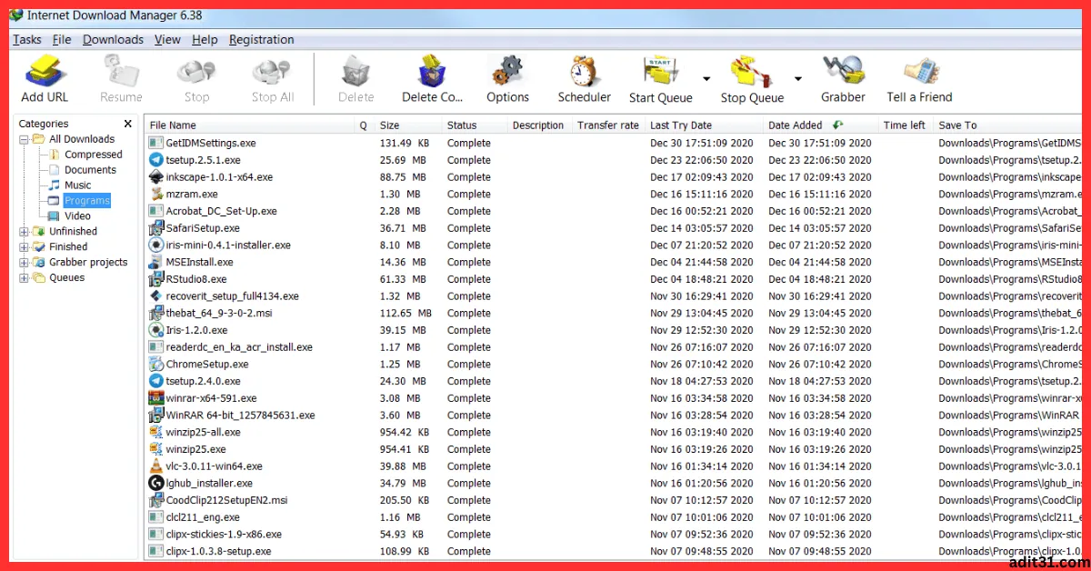 Internet Download Manager 