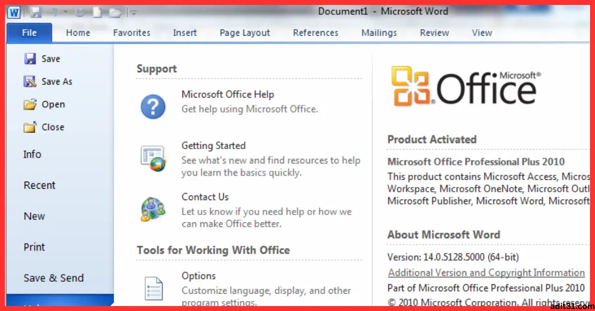 Microsoft Office 2010