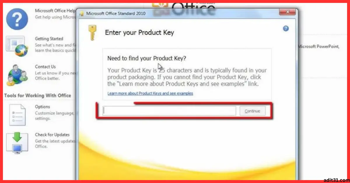 Microsoft Office 2010