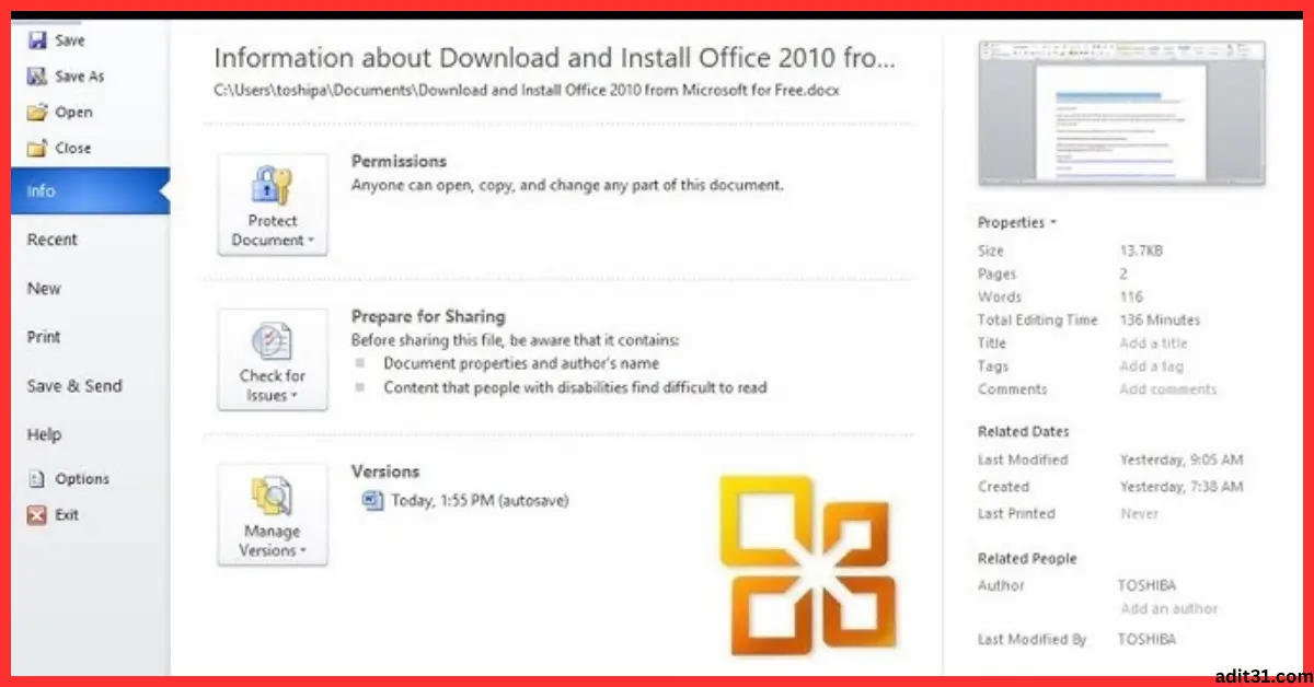 Microsoft Office 2010