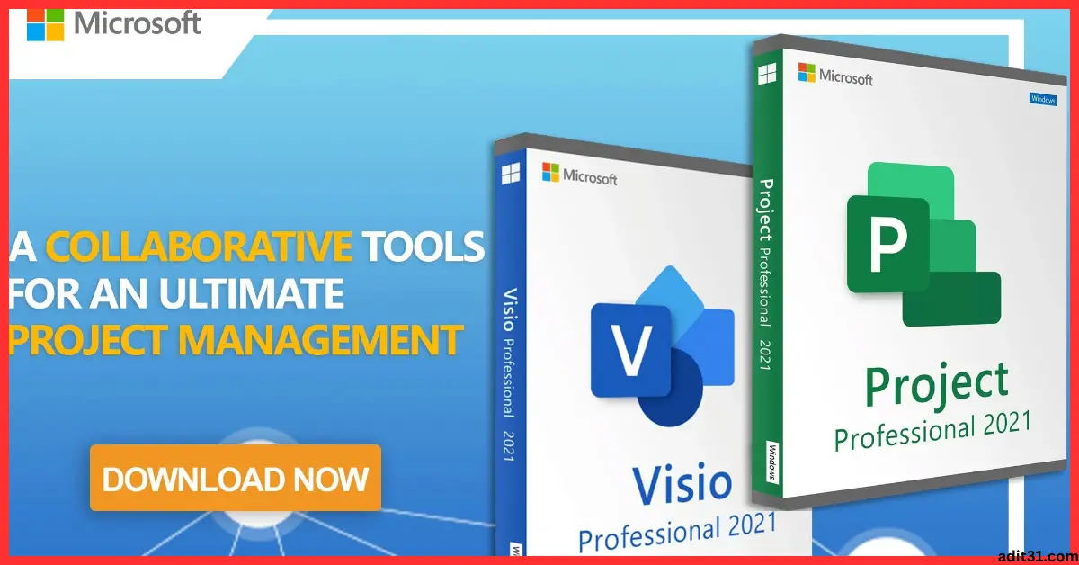 Microsoft Visio Project Pro