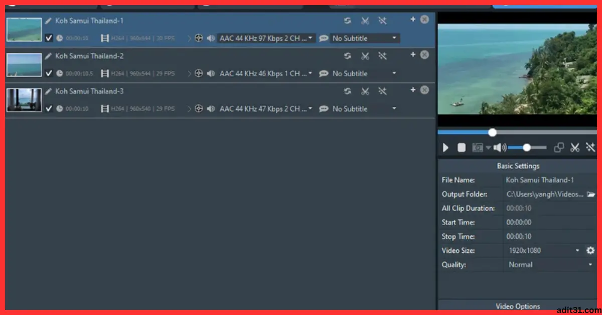 Any Video Converter