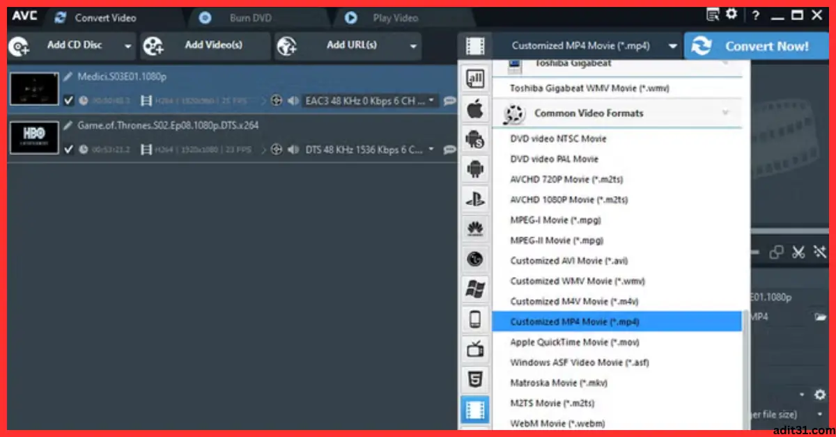 Any Video Converter