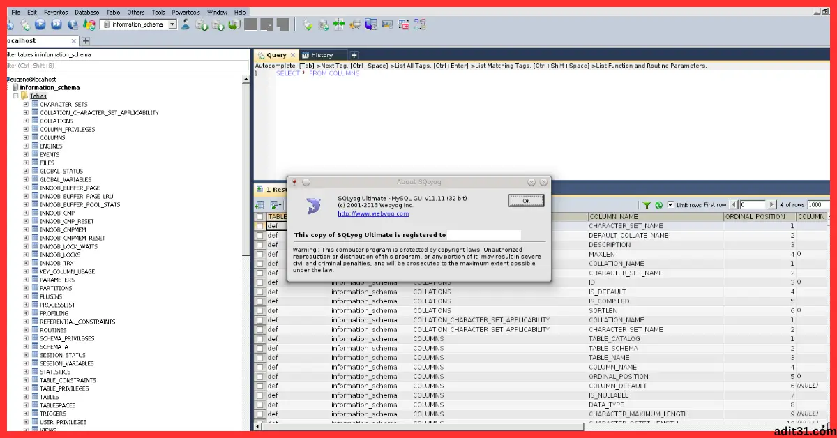 SQLyog Ultimate