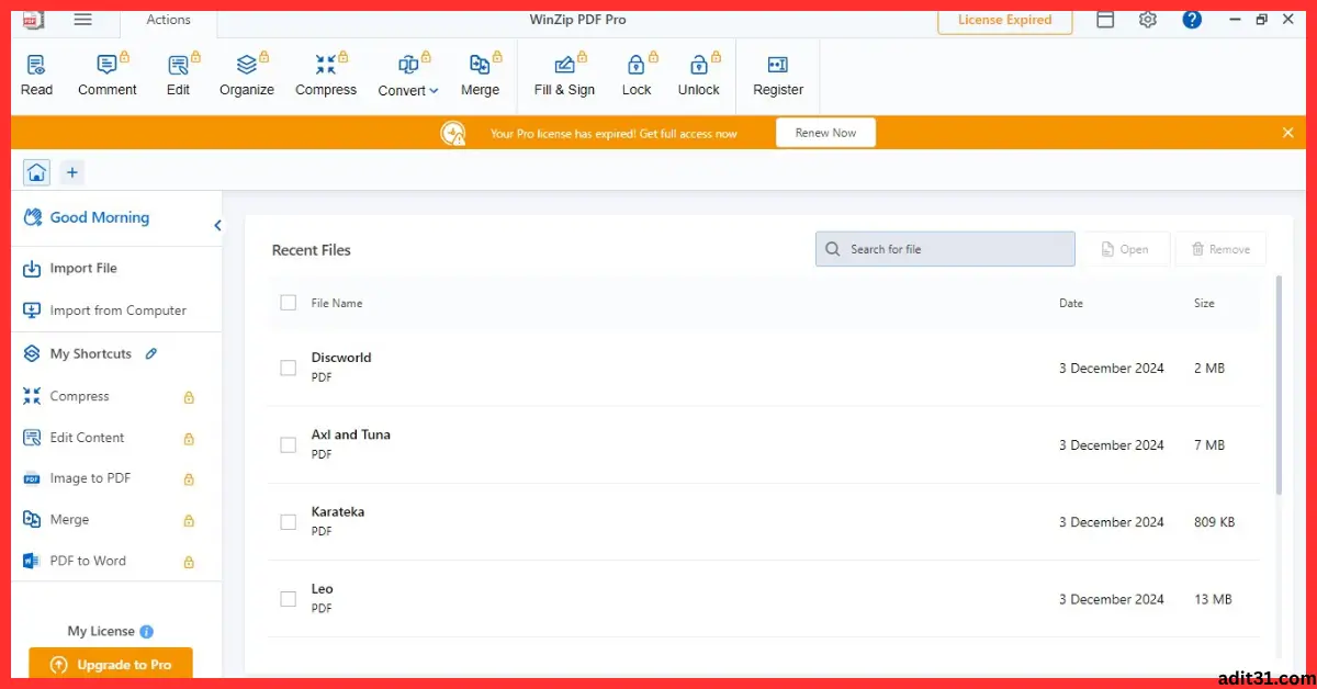 WinZip Pro