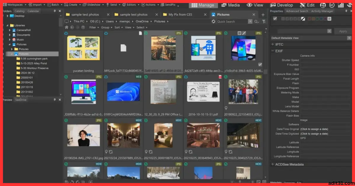 ACDSee Photo Studio Ultimate 2026