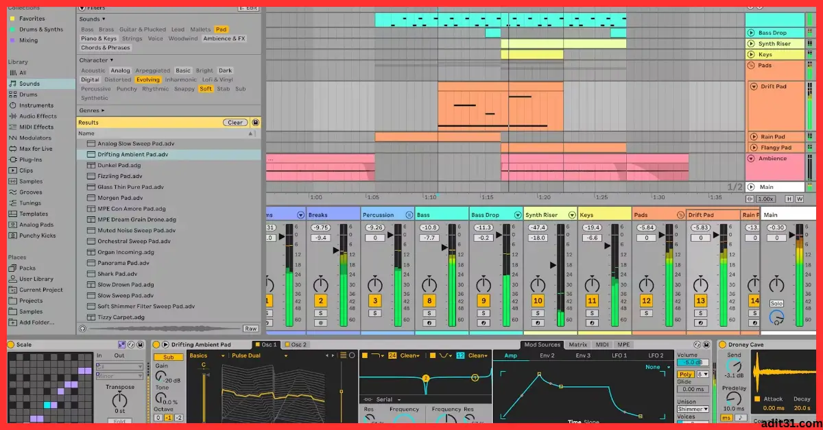Ableton live Suite 2026