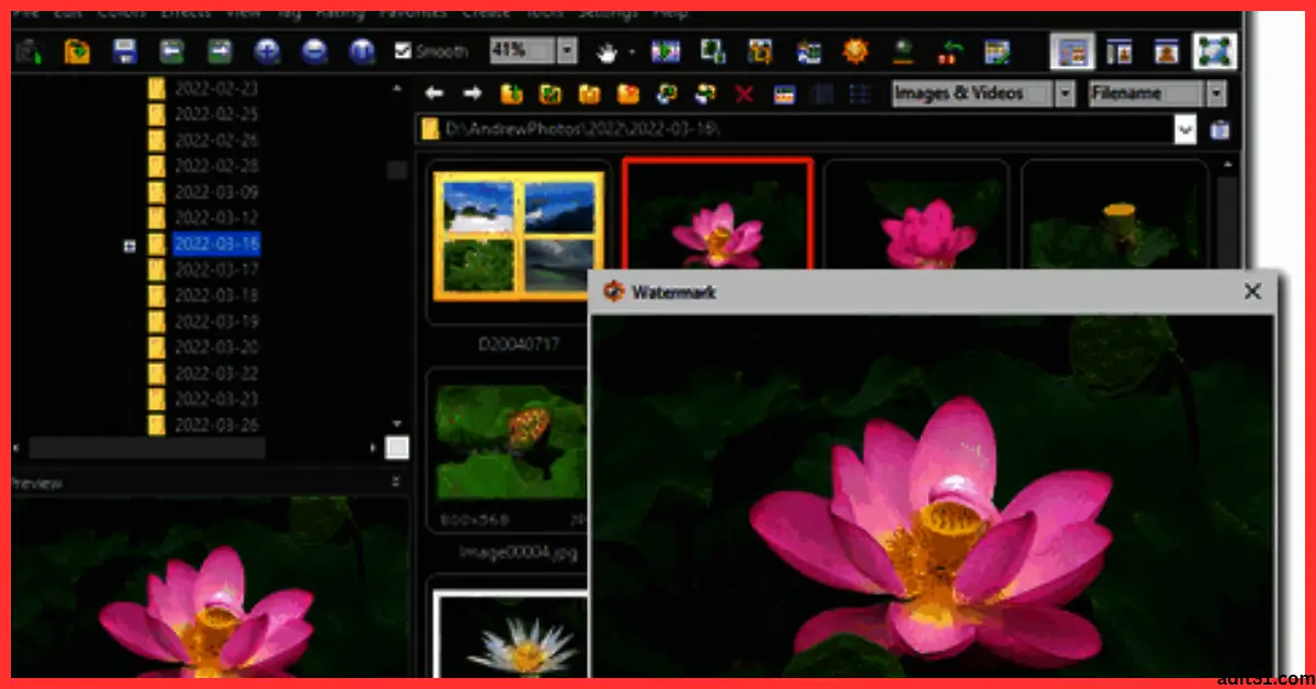 FastStone Image Viewer