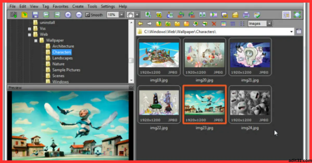 FastStone Image Viewer