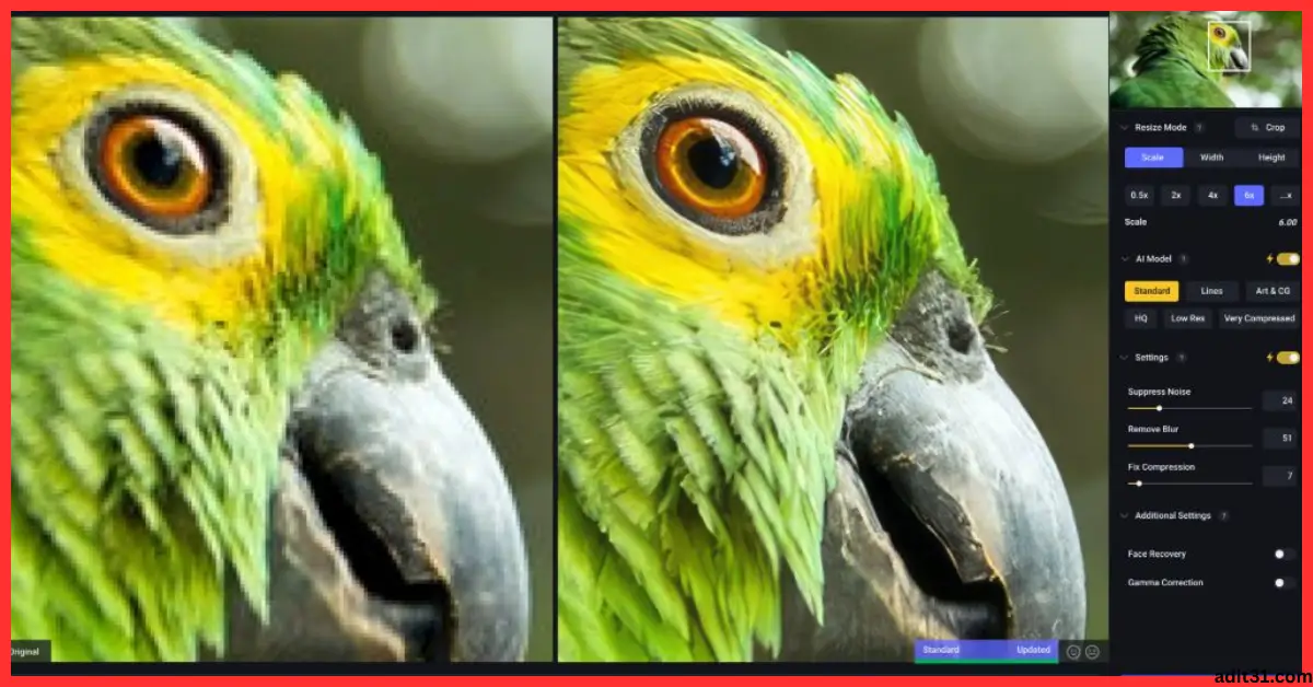 Topaz Gigapixel AI